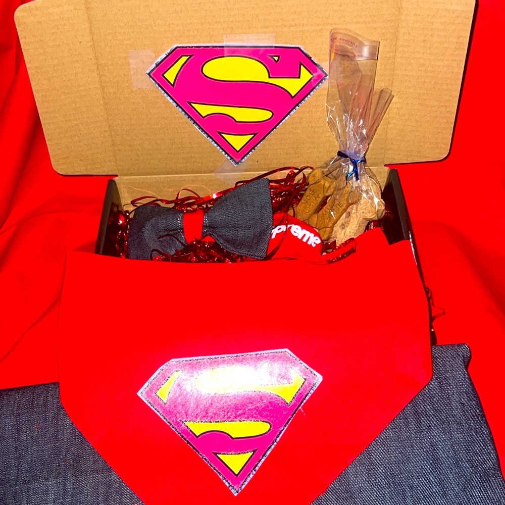 Super hero dog wear